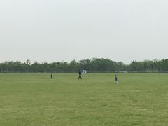 -春花秋色城市公园