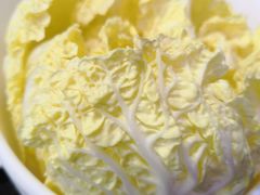 大白菜-锅说大脸毛肚重庆老火锅(佐阾店)