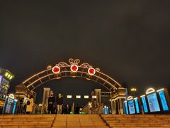 -武汉知音号