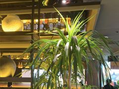 -万达广场(扬州邗江店)