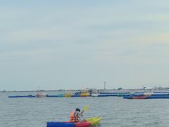 -碧海金沙