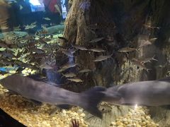 -成都浩海立方海洋公园