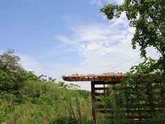 -白鹭湾湿地公园