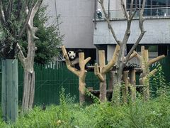 -沈阳森林动物园