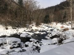-望天鹅景区
