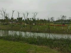 -瑶湖郊野森林公园