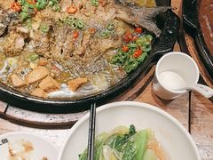 -老板恋上鱼(恒隆广场店)