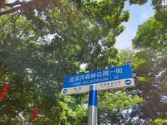 -广州市流溪河国家森林公园