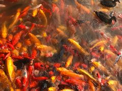 -泰安地下龙宫景区