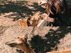 -西安秦岭野生动物园