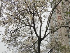 -红星桥(地铁站)