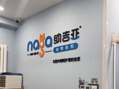 -纳吉亚猫专科动物诊疗中心(蒋宅口分院)