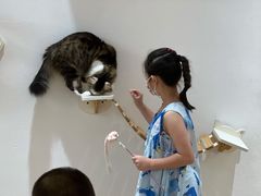 -1013 PET SHOP精品宠物商店(丁香店)