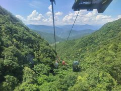 -王顺山国家森林公园