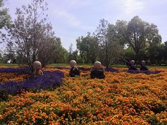 -狼山风景名胜区