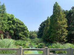 -东方绿舟景区