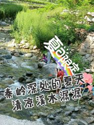 -八大处整形