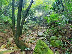 -大雁山风景区