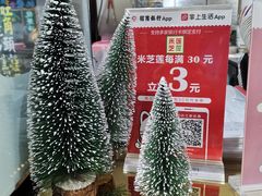 -美芝莲(领展购物广场中关村店)