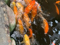 -上海大自然野生昆虫馆(东方明珠·爬宠昆虫探索中心)