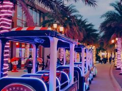 -三亚海昌梦幻海洋不夜城