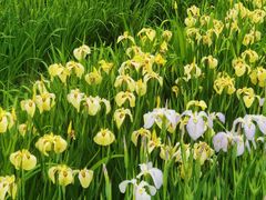 -共青国家森林公园-售票处