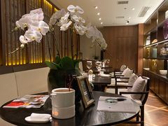 -甄御•海鲜新青岛菜(麦岛店)