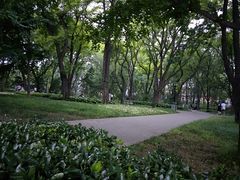 -玲珑塔公园