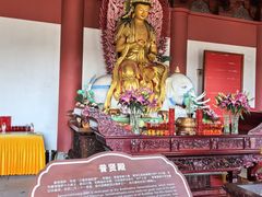 -上海东林寺(金山区)