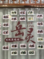 -岳灵生发养发馆