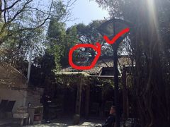 -旅马餐厅(茅家埠店)