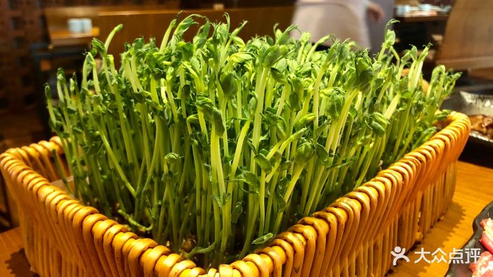 熬八年台湾火锅有机豆苗图片 - 第48张