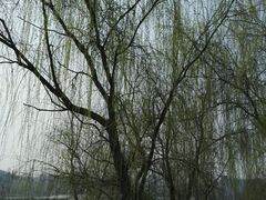 -白鹭湾湿地公园