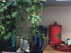 -双季花艺园艺市场(浦东店)