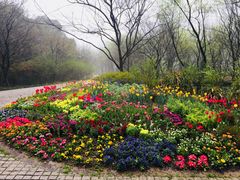 -西湖风景区-江洋畈生态公园