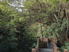 -广州市帽峰山景区