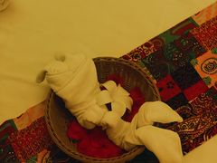 -泰迦·正宗泰式按摩SPA(东城店)