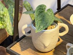 -自由生长植物工作室(深港花卉中心店)