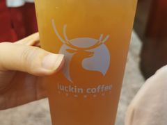 -九花山烤鸭店