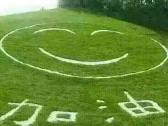 小两口烧烤-小俩口烧烤东北菜(双井店)