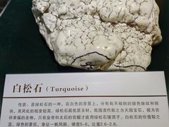 -中国第四纪冰川遗迹陈列馆