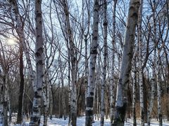 -长春市南湖公园