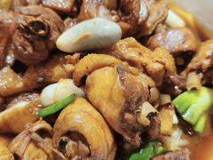 -向民炒鸡老店(金泰华府店)