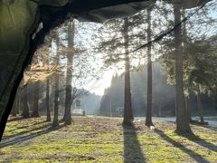 -武陵山森林公园