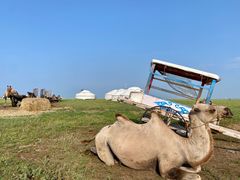 -呼和诺尔旅游景区