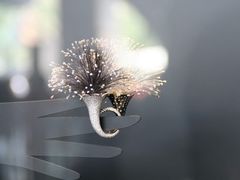 -路易·威登(香榭丽舍大道店)