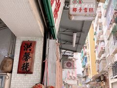 -洪馨椰子
