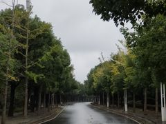 -岳阳市博物馆