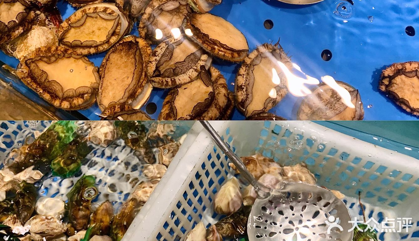 魔都探店｜三百六十五道菜的海鲜自助🦞