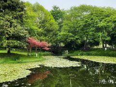 -茅家埠